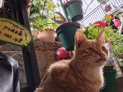 -鱼乐岛餐厅·户外花园主题餐厅