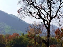 -塔川景区
