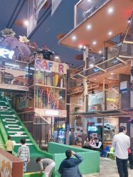 -卡通尼·Safari非洲探索乐园·生日会(金桥国际商业广场店)