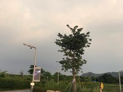 -光明小镇欢乐田园