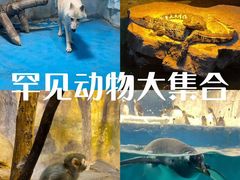 -泉城欧乐堡海洋极地世界
