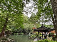 -杭州植物园