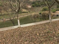 -金钉子远古世界景区