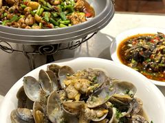 -辣四方新派川菜