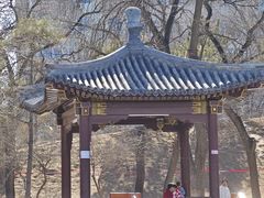 -元大都城垣遗址公园