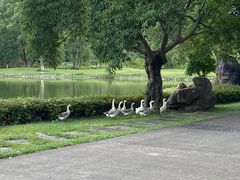 -Club Med地中海俱乐部·桂林度假村