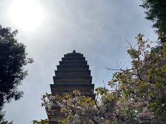 -洛阳白马寺