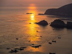 004-枸杞岛