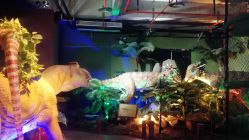 -恐龙探索乐园(磁器口店)