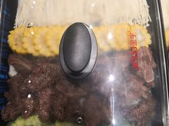 -徽三说·土徽菜·中国徽菜连锁品牌(一中店)