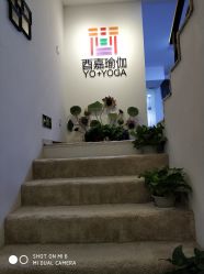 -酉嘉瑜伽YO+YOGA