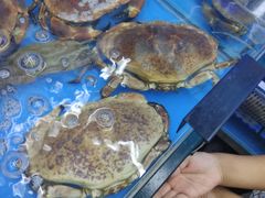 -日照大牌檔•小船海鲜(万平口店)