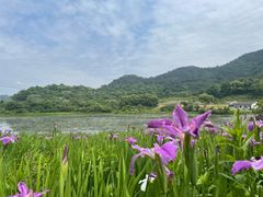 -东钱湖旅游度假区