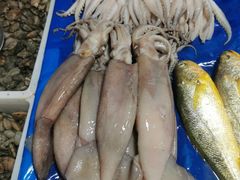 -鑫朱雀农贸批发市场