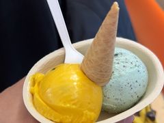 -极拉图·现制冰淇淋(大卫城店)