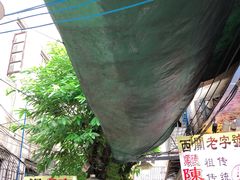 -陈添記·祖傳爽鱼皮·西关老字号(广州首店)