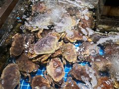 水产区-七鲜超市(通州ONE店)