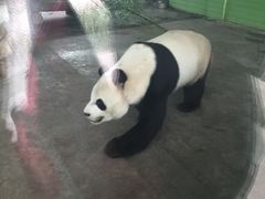 -石家庄市动物园