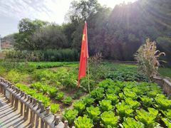 -延安杨家岭革命旧址