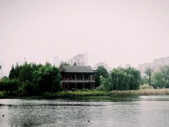 -武汉园博园(武汉自然博物馆)