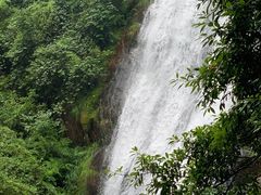 -大奇山国家森林公园