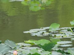 -龙头寺公园
