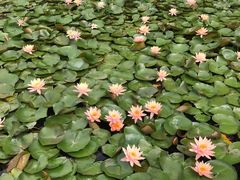 -上海植物园·停车场