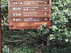 -西湖外事游船(花港观鱼码头)