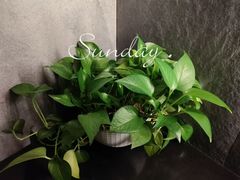 -宫七SPA·高端Massage(浦东大道店)