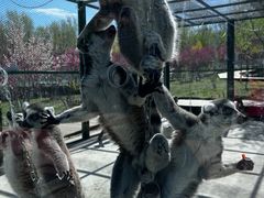 -水上乐园·欢乐世界