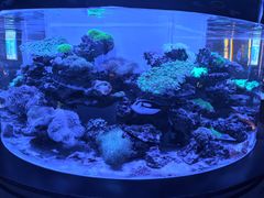 -上和臻品中国菜(花园街店)