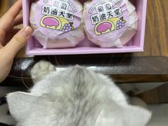 -好利来(十里河店)