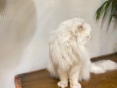 -小时光咖啡馆(北锣鼓巷店)