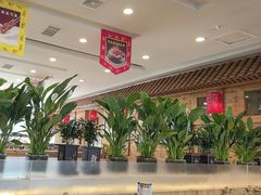 -大清花饺子(山庄店)