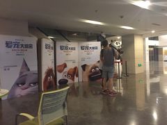 -天幕新彩云国际影城(激光巨幕店)