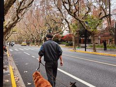 -一尺花园(安和花园店)