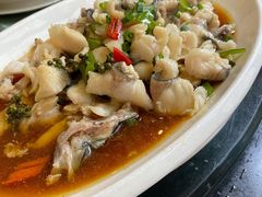 藤椒叉鱼-美极鲜食坊(宝安南路店)