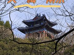 -梅花山(明孝陵内)