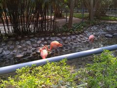 -广东茂名森林公园