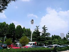 院内-山东省图书馆