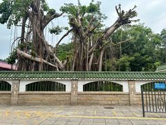 -集美学村