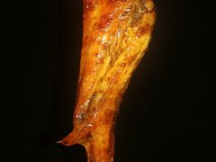 -南记食粥坊·宵夜大排档(南桂店)