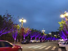 -眉山湿地公园(东坡区)