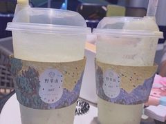 -野萃山·潮汕厚果汁(十亩地店)