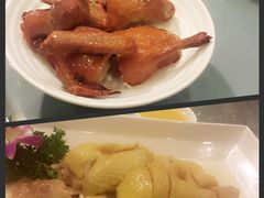 -御花园·粤菜·海鲜火锅(中山公园店)