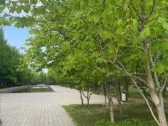 -玲珑塔公园