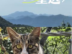 -鬼笑石后山停车场