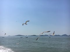 景点-海驴岛(荣成市)