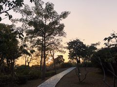 -福田红树林生态公园