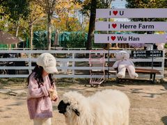 -HERRE·FARM 赫尔露营农场·团建聚会包场